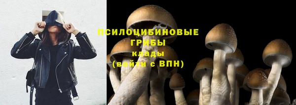 a pvp Белокуриха