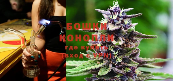 дживик Богородицк