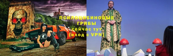 дмт Богородск