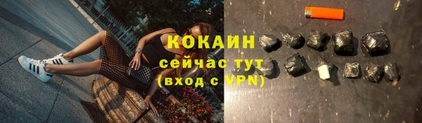 дживик Богородицк