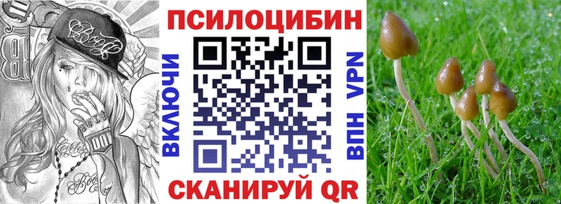 Галлюциногенные грибы мухоморы  Маркс 